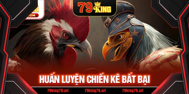 Huấn luyện chiến kê bất bại Huấn luyện chiến kê bất bại