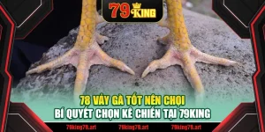 78 Vảy Gà Tốt Nên Chọi – Bí Quyết Chọn Kê Chiến Tại 79King