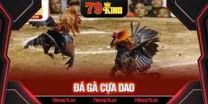 Đá Gà Cựa Dao – Trận Đấu Của Những Chiến Kê Hùng Mạnh