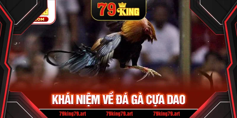 Đá gà cựa dao là gì Đá gà cựa dao là gì