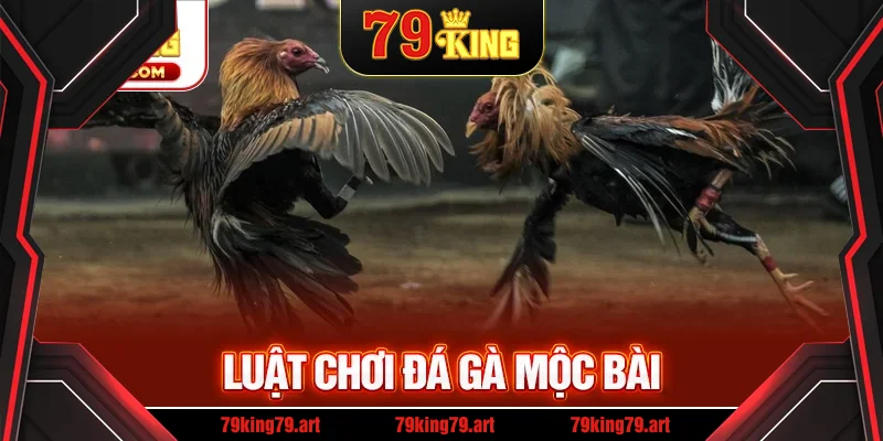 Luật chơi mà bạn nên biết khi tham gia Luật chơi mà bạn nên biết khi tham gia