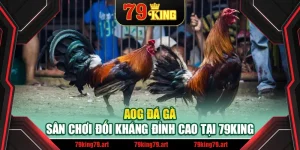 AOG Đá Gà – Sân Chơi Đối Kháng Đỉnh Cao Tại 79King