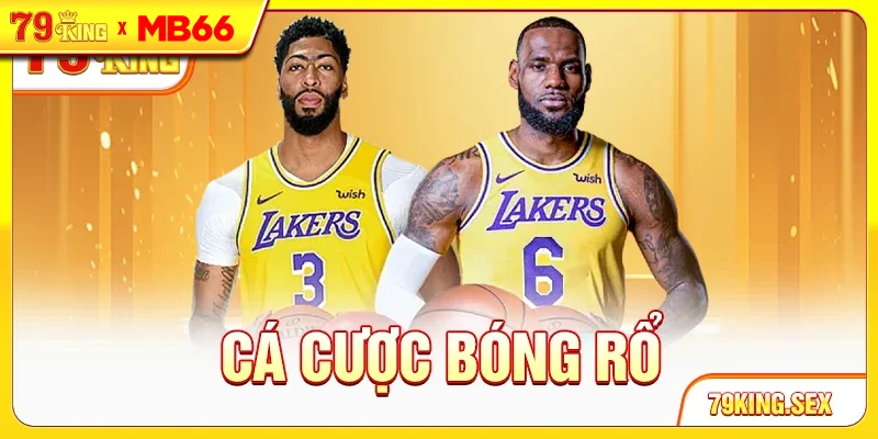 Cá cược bóng rổ