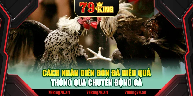 Cách nhận diện đòn đá hiệu quả thông qua chuyển động gà Cách nhận diện đòn đá hiệu quả thông qua chuyển động gà