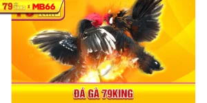 Đá gà 79King