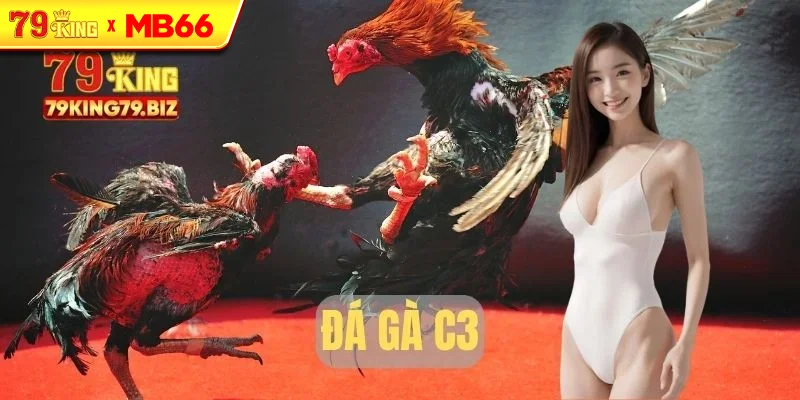 Đá gà c3 tại 79king