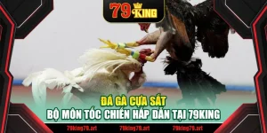 Đá Gà Cựa Sắt – Bộ Môn Tốc Chiến Hấp Dẫn Tại 79King