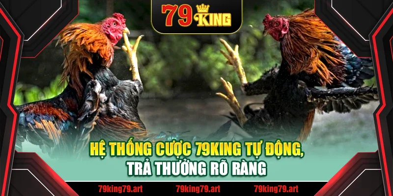 Hệ thống cược 79King tự động, trả thưởng rõ ràng Hệ thống cược 79King tự động, trả thưởng rõ ràng