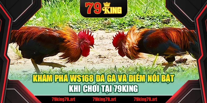 Khám phá WS168 đá gà và điểm nổi bật khi chơi tại 79King