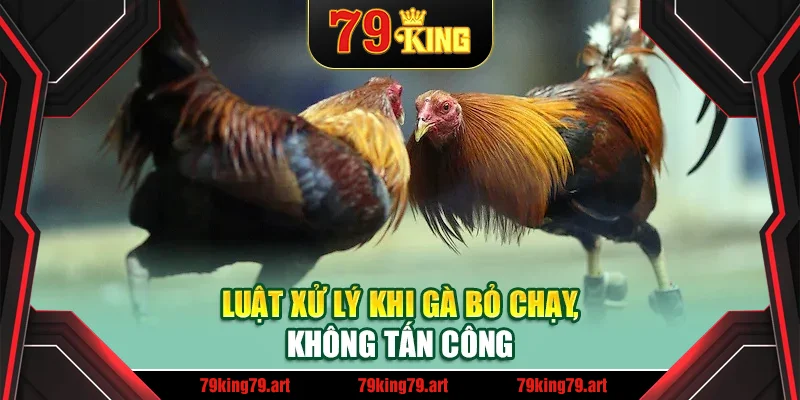 Luật xử lý khi gà bỏ chạy, không tấn công