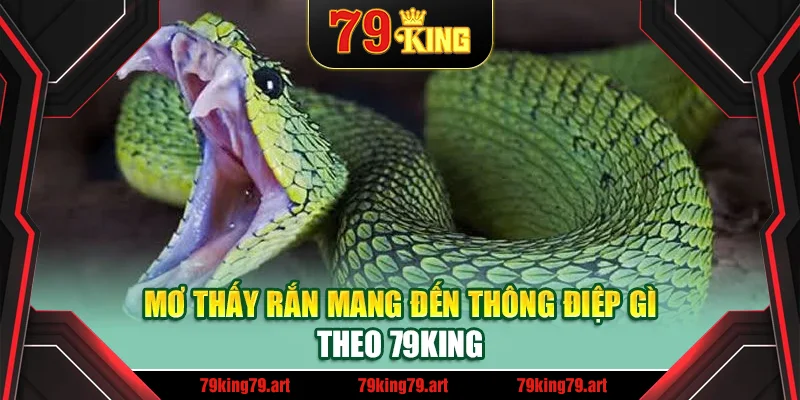 Mơ thấy rắn mang đến thông điệp gì theo 79King