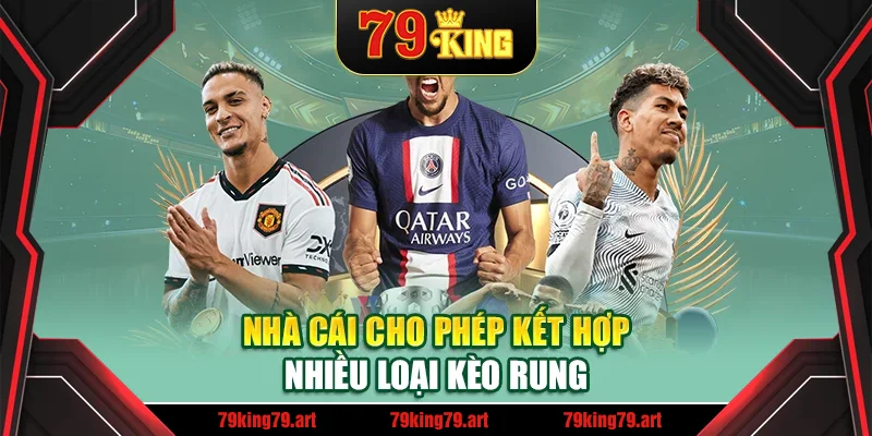 Nhà cái cho phép kết hợp nhiều loại kèo rung