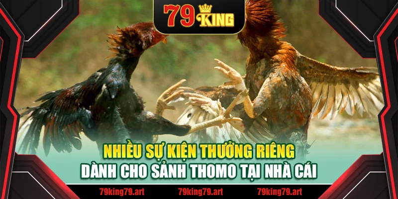 Nhiều sự kiện thưởng riêng dành cho sảnh Thomo tại nhà cái Nhiều sự kiện thưởng riêng dành cho sảnh Thomo tại nhà cái