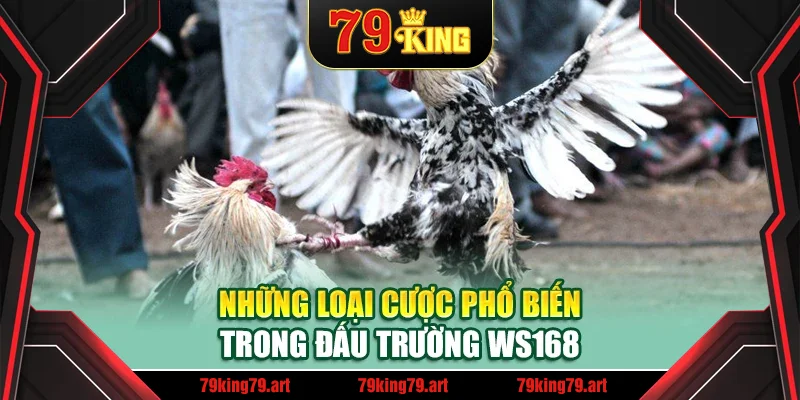 Những loại cược phổ biến trong đấu trường WS168