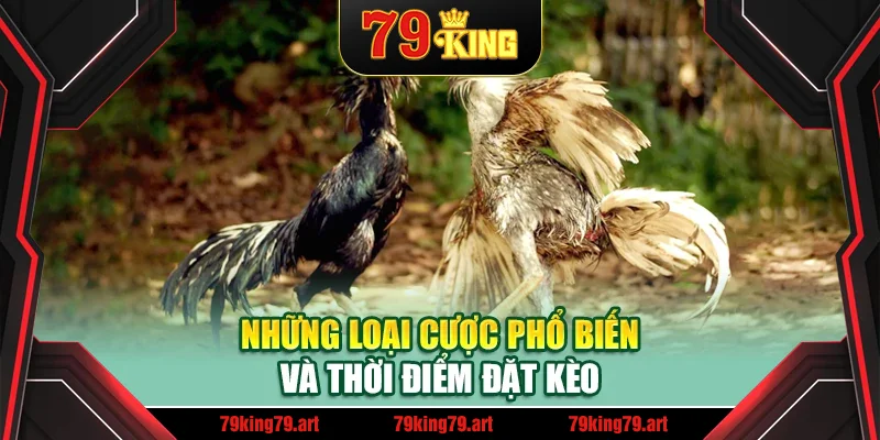 Những loại cược phổ biến và thời điểm đặt kèo Những loại cược phổ biến và thời điểm đặt kèo