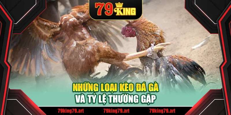 Những loại kèo đá gà và tỷ lệ thường gặp Những loại kèo đá gà và tỷ lệ thường gặp