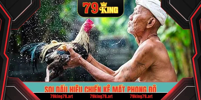 Soi dấu hiệu chiến kê mất phong độ