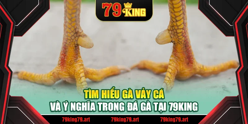 Tìm hiểu gà vảy cá và ý nghĩa trong đá gà tại 79King Tìm hiểu gà vảy cá và ý nghĩa trong đá gà tại 79King