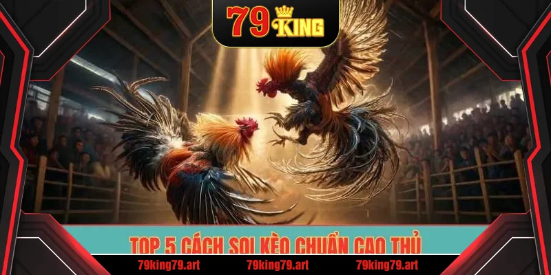 Top 5 cách soi kèo chuẩn cao thủ