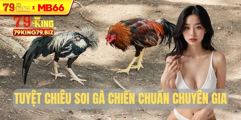 Tuyệt chiêu soi gà chiến chuẩn chuyên gia