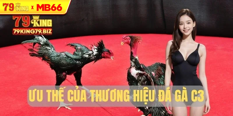Ưu thế của thương hiệu đá gà C3 Ưu thế của thương hiệu đá gà C3