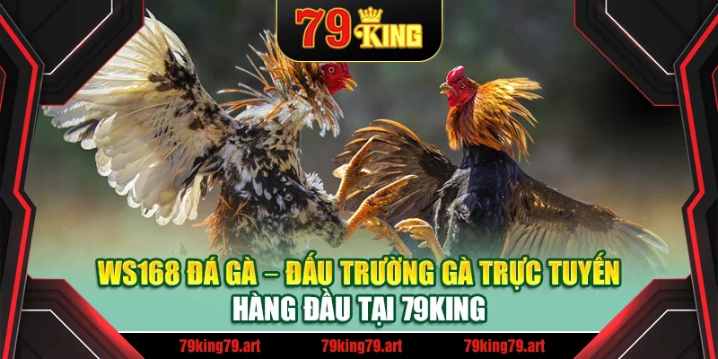 Ws168 Đá Gà – Đấu Trường Gà Trực Tuyến Hàng Đầu Tại 79king